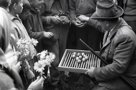 Rok 1962: V bažantici neďaleko Zvolena sa liahnu prvé bažanty