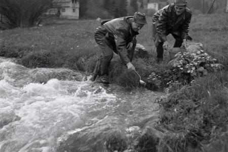 Rok 1966: Pri Ružomberku vyrástlo kráľovstvo rýb
