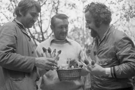 Rok 1978: Tento rok praje hubárom