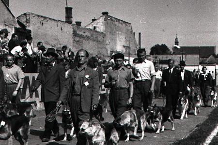 Rok 1954: Športový deň trnavského Zväzarmu