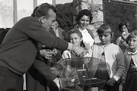 Rok 1960: V bratislavskej ZOO privítali stotisíceho návštevníka