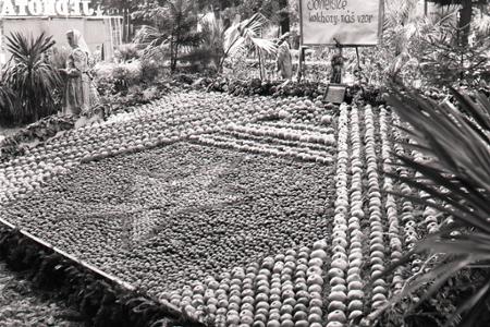 Rok 1952: Okresné dožinky v Košiciach 