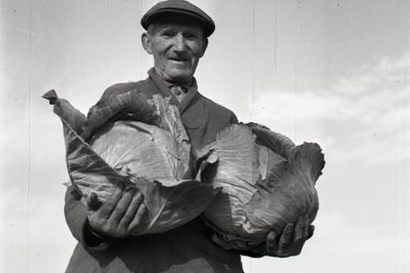 Rok 1956: Zohorská kapusta na ceste do Bratislavy