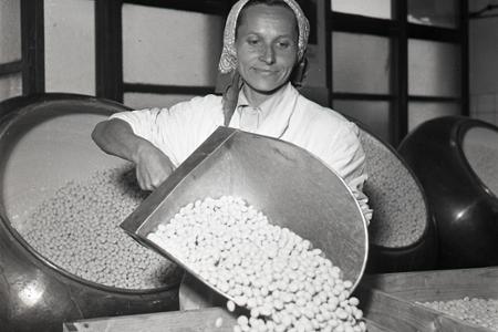 Rok 1953: Vianočných čokoládových kolekcií z DEVY bude dostatok