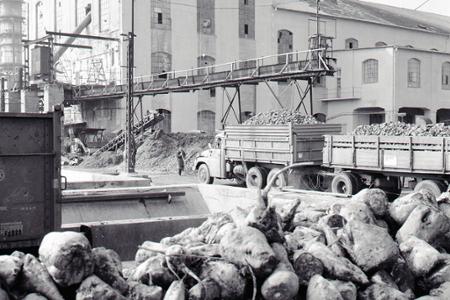 Trnavský kraj 1945 - 1990