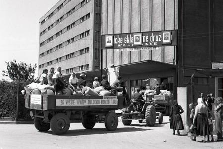 Rok 1950: Do skladov prichádza prvé obilie
