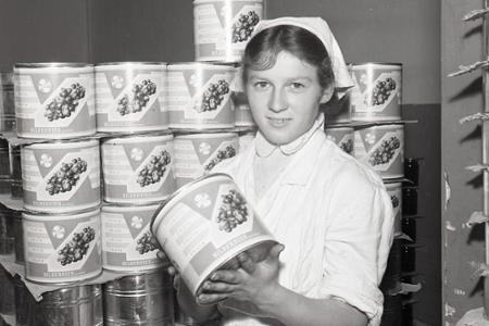Rok 1958: Slovenské sušené huby idú na odbyt