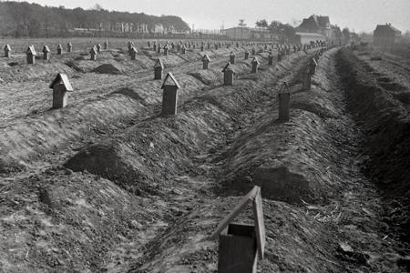 Rok 1953: Začína sa s krechtovaním zeleniny