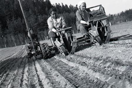 Rok 1977: Zalesňujú Oravu