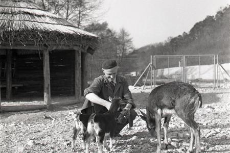 Rok 1960: Otvárajú sa brány bratislavskej ZOO